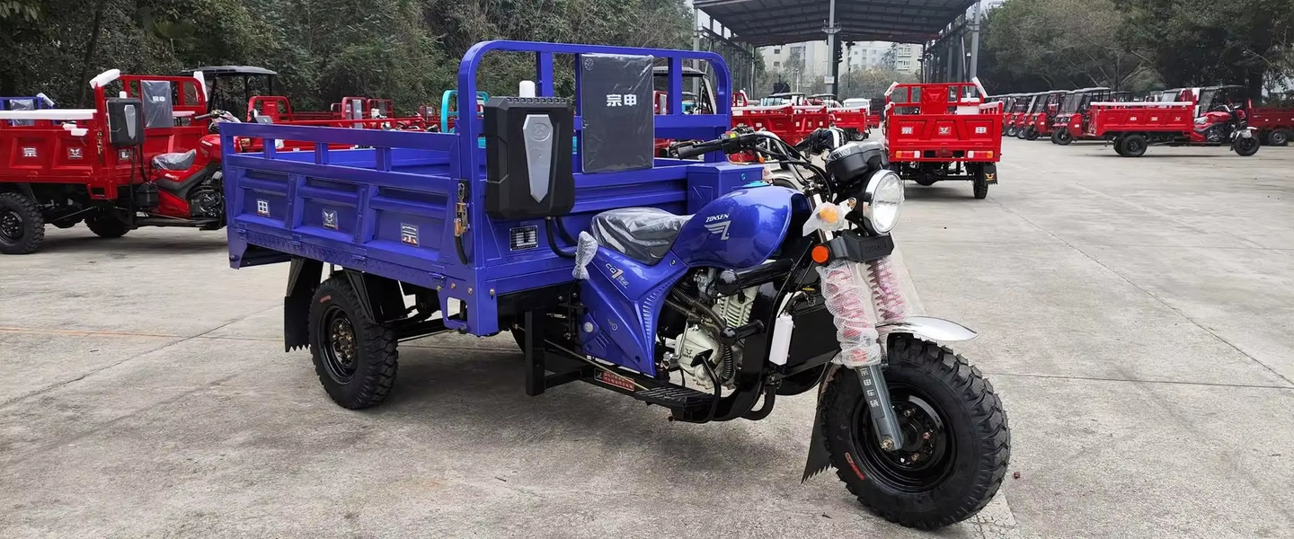 Triciclo eléctrico de pasajeros