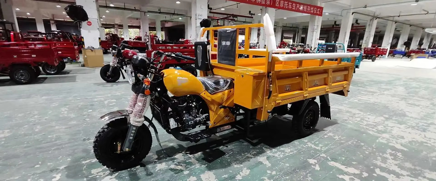 Triciclo eléctrico del ocio