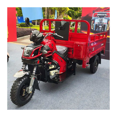 Triciclo de 3 ruedas con motor de gasolina y sidecar en Pakistán fácil de operar y mantener