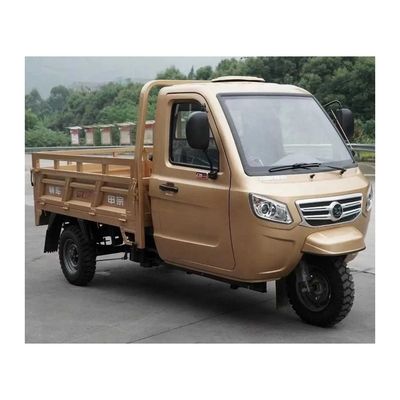 Triciclo de motocicleta de 3 ruedas para adultos con cabina completamente cerrada de carga con 1000W de potencia