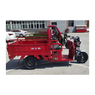3.00-12 / 3.00-12 Tamaño del neumático Electric Easy Bike 1000w para el comercio de carga Triciclo de tipo dump