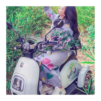 Tipo de cuerpo abierto 48V 500W Motos eléctricas de 3 ruedas Triciclo Tuk Tuk E-Trikes en la India