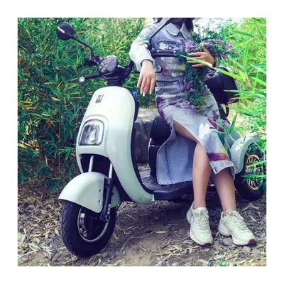 650W Triciclo eléctrico de tres ruedas Motocicleta para adultos que conducen Tipo eléctrico