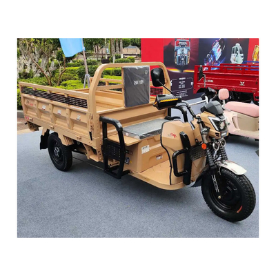 Etrike eléctrico de 3 ruedas con frenos traseros de tambor delantero y 70 a 90 km de recorrido