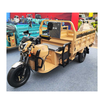 Etrike eléctrico de 3 ruedas con frenos traseros de tambor delantero y 70 a 90 km de recorrido