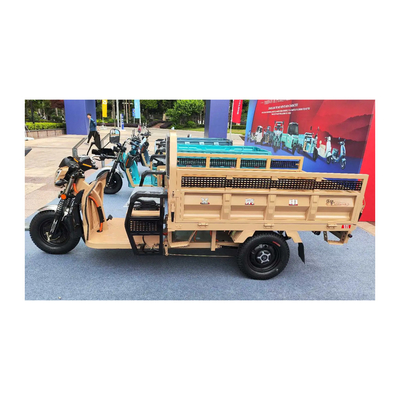 Etrike eléctrico de 3 ruedas con frenos traseros de tambor delantero y 70 a 90 km de recorrido