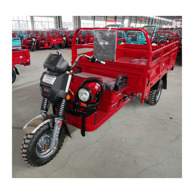 Triciclo eléctrico de carga 100A/130A Tipo de carrocería abierta de corriente ideal para conductores adultos